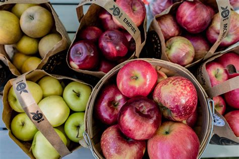 Local | News | Burlington Free Press