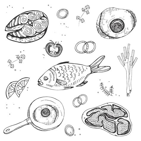 Alimentos Frescos Ejemplos 5