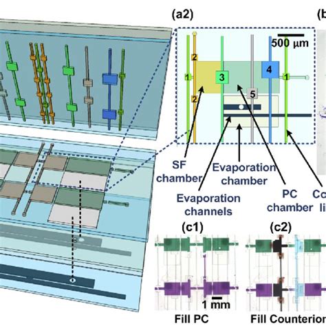 A Schematic Overview Of The Layered Design Of A X Array Of