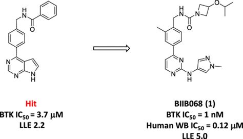 Discovery Of Biib068 A Selective Potent Reversible Brutons Tyrosine