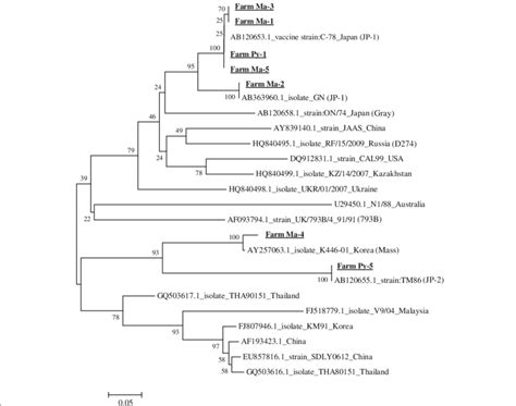 A Phylogenetic Tree Based On The Alignment Of The Nucleotide Sequences