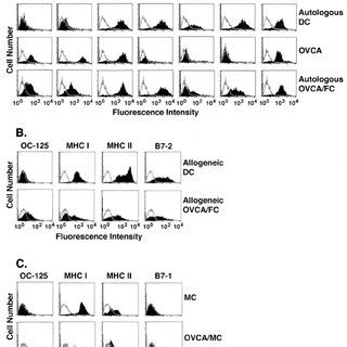 Stimulation Of Antitumor Ctl Cells By Autologous Ovca Fc A Pbmc Were