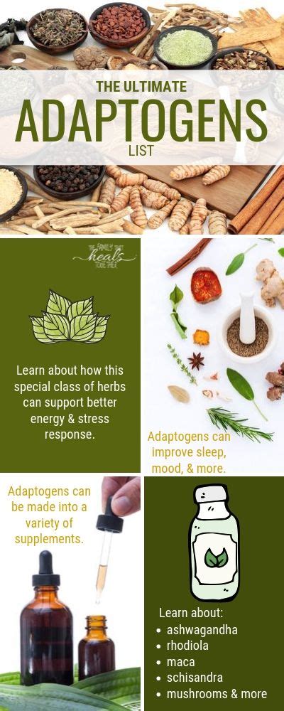 What Are Adaptogens The Ultimate Adaptogen List What Are Adaptogens