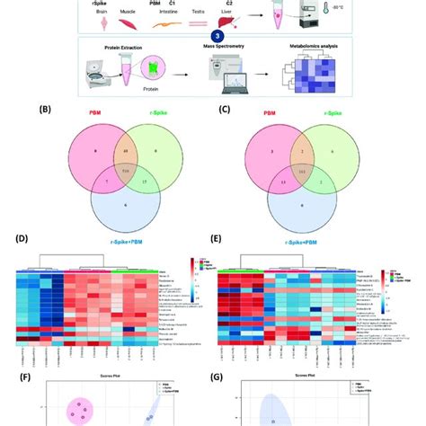 Metabolomics Experimental Protocol And Unsupervised Data Analysis A Download Scientific