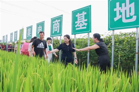 庆丰收 迎盛会 自治区妇联“巾帼科技助农直通车”开进乡村振兴巾帼示范基地玉林北流市河村澎湃号·政务澎湃新闻 The Paper