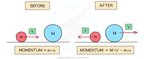 conservation  momentum oxford aqa igcse physics revision notes