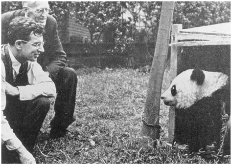 How An American Missionary Helped Capture The First Panda Given To The