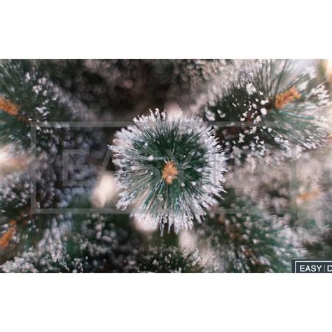 Jual Pohon Natal Berkualitas Tipe Snow Flake Pine Tree Ukuran Ft