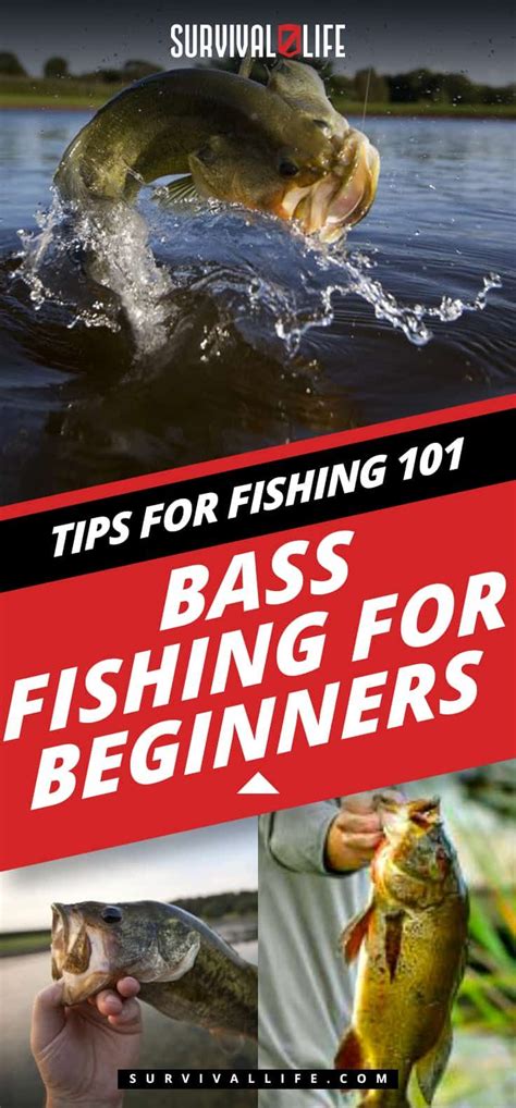 Bass Fishing For Beginners Tips For Fishing 101 Survival Life