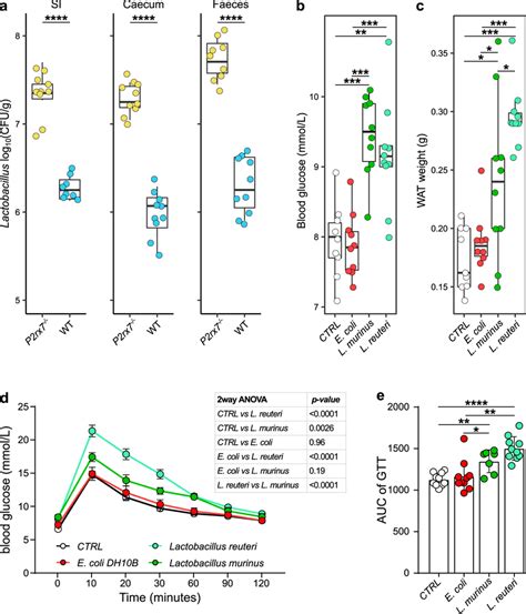 Altered Glucose Homeostasis And Fat Deposition In Lactobacillus Treated