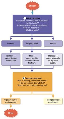 PSYC 314 W3 Coping And Stress Management Flashcards Quizlet