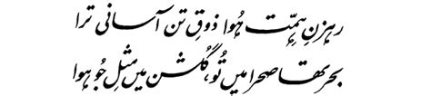 My Life My Poetry Allama Iqbal Shama Aur Shayar