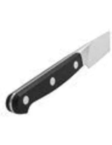 Zwilling Pro Schil En Garneermes 100 Mm