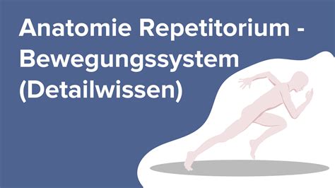 Anatomie Repetitorium Bewegungssystem Online Medizin Kurs Lecturio