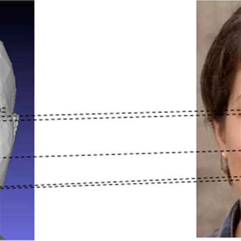 Facial Landmark Correspondence Download Scientific Diagram