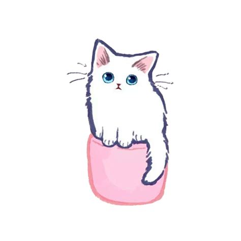 猫咪透明png