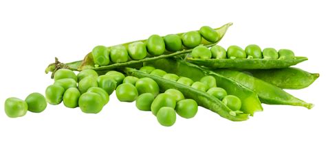 Green Peas Png Vector Psd And Clipart With Transparent Background