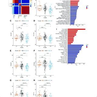 Identification Of Ba Subtypes Based On Hspgs Expression Levels A Nmf