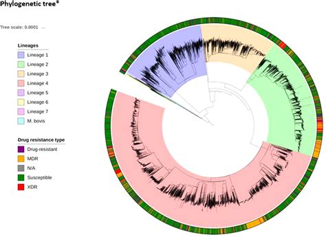 Frontiers Machine Learning Predicts Accurately Mycobacterium