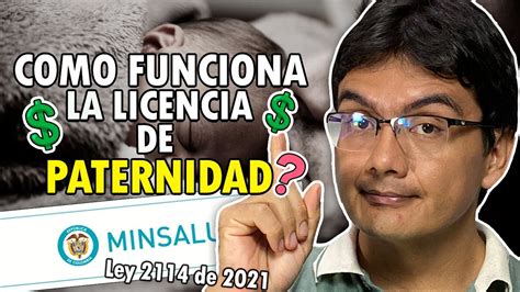 Como Funciona La Licencia De Paternidad En Colombia Youtube