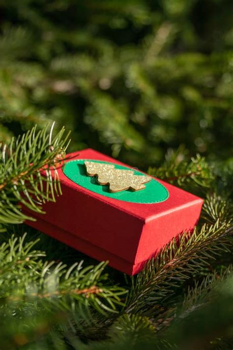 Mysterious Ts In A T Box On The Branches Of The Christmas Tree On