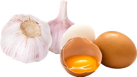 Japan’sbest Selling Garlic Health Supplement Japanese Wisdom “garlic And Egg Yolk”