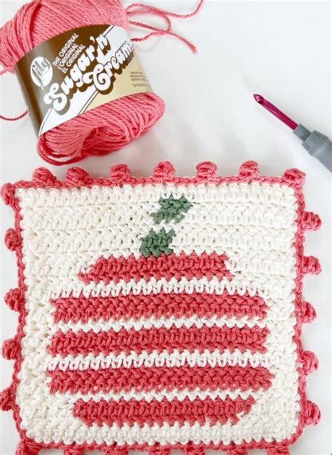 Crochet Pumpkin Stripe Hot Pad FREE CROCHET PATTERN Craftorator