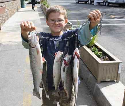 Collins Lake Fish Report Browns Valley Ca Yuba County