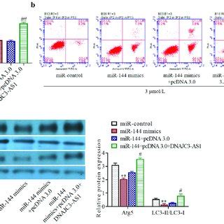 Mir Increases The Chemosensitivity Of Breast Cancer Cells By