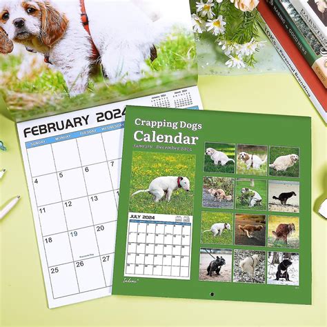 Calendrier 2024 12 Mois Caca Chiens Calendrier 2024 Chien Caca