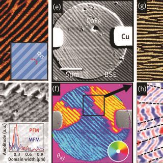 Pdf Domains And Domain Walls In Multiferroics