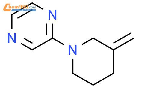 1864353 06 9 Pyrazine 2 3 methylene 1 piperidinyl CAS号 1864353 06 9