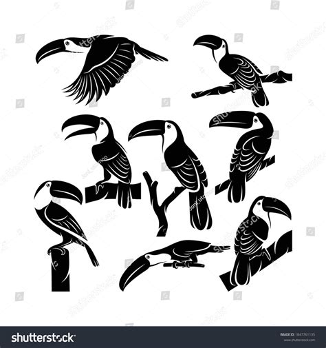 Toucan Silhouette Vector Royalty-Free Images, Stock Photos & Pictures | Shutterstock