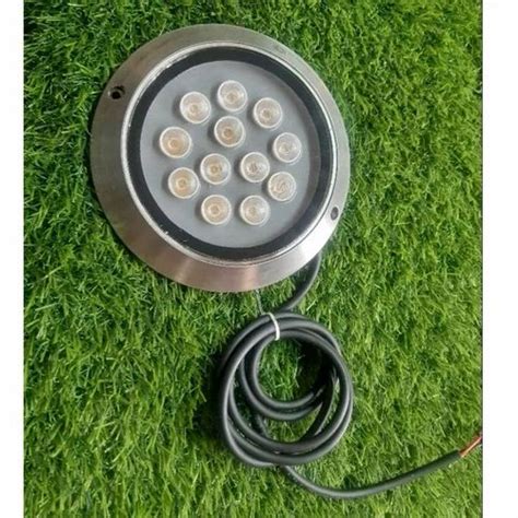 Cool White Warm White W Stainless Steel Swimming Pool Light For