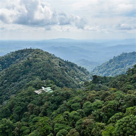 Bosques Andinos