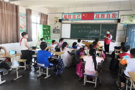 告成镇隔子沟小学 安全讲座进校园学校时讯dfedu