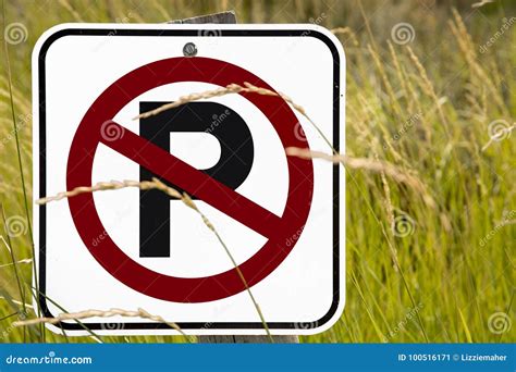 No Parking Sign stock image. Image of canada, parking - 100516171