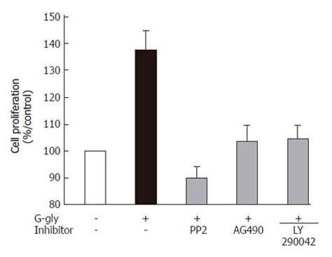 Glycine Extended Gastrin Activates Two Independent Tyrosine Kinases In