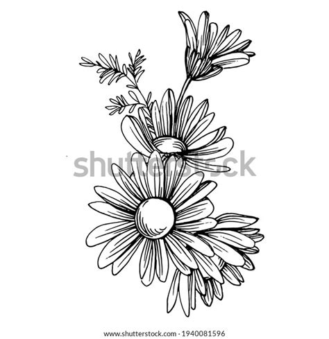 Daisy Clip Art Black & White Royalty-Free Images, Stock Photos & Pictures | Shutterstock