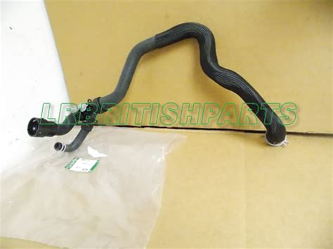 Genuine Land Rover Radiator Coolant Lower Hose With Sensor Range Rover