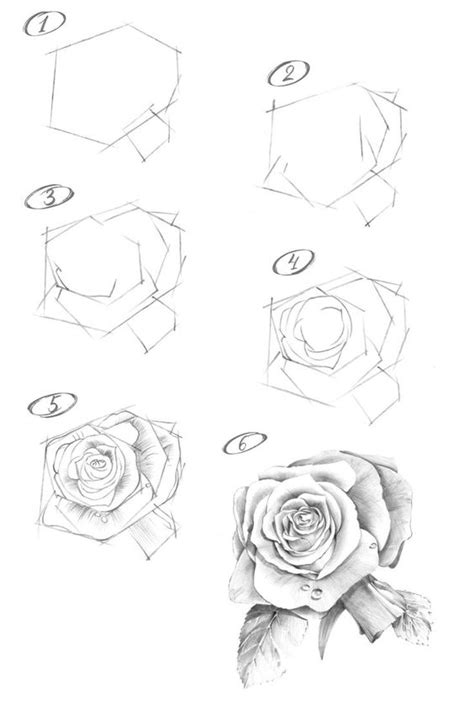 10 Rose Drawing Ideas Unleash Your Creativity Sky Rye