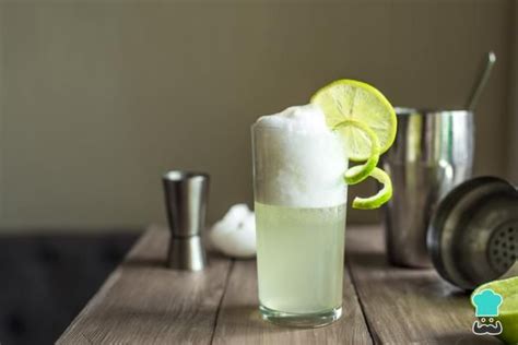 Bebidas Con Ginebra Recetas De C Cteles Y Tragos F Ciles