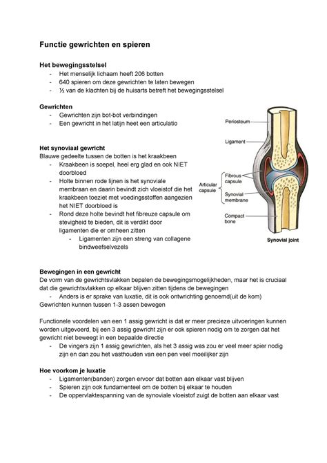 Thema Stof Van Mens Tot Cel Functie Gewrichten En Spieren Het