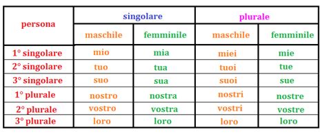 I Pronomi Possessivi Programma Grammatica Elementari