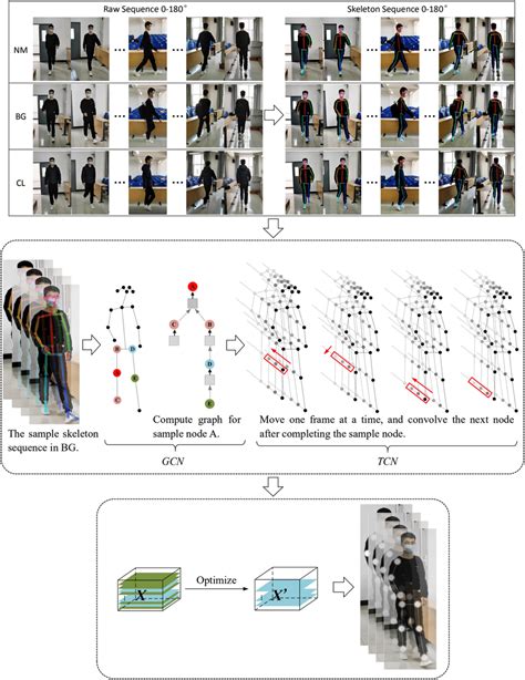 The All Visualisation Process Of GaitD Including The Spatialtemporal