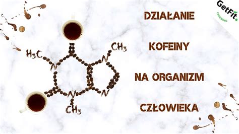 Jak działa kofeina Wpływ na organizm człowieka Catering Dietetyczny