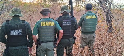 Quatro caçadores são presos pelo IBAMA por caça e tráfico de animais