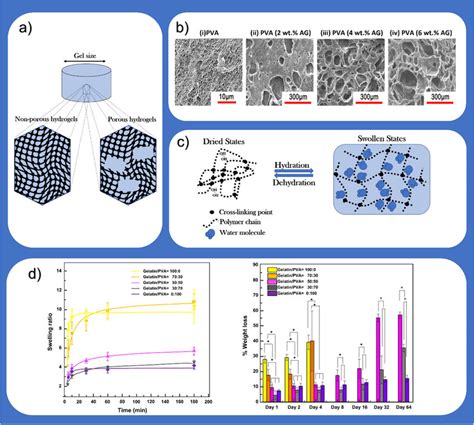 A Porous And Non Porous Hydrogels Structures B Sem Images Of I