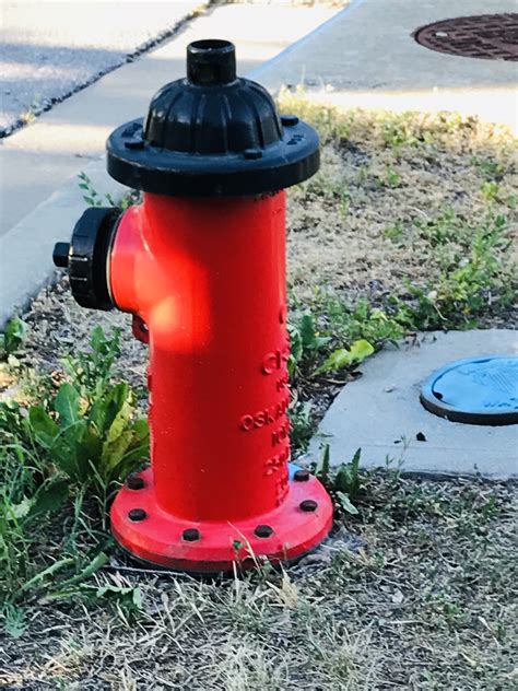 Cees Fun Foto Challenge Fire Hydrants Teleportingweena