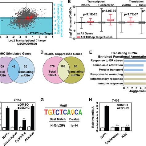 Ohc Activates The Gcn Eif Atf Branch Of The Integrated Stress